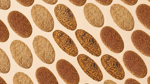 Abby's Crackers
